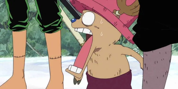 One Piece: Como Zoro conseguiu suas cicatrizes?